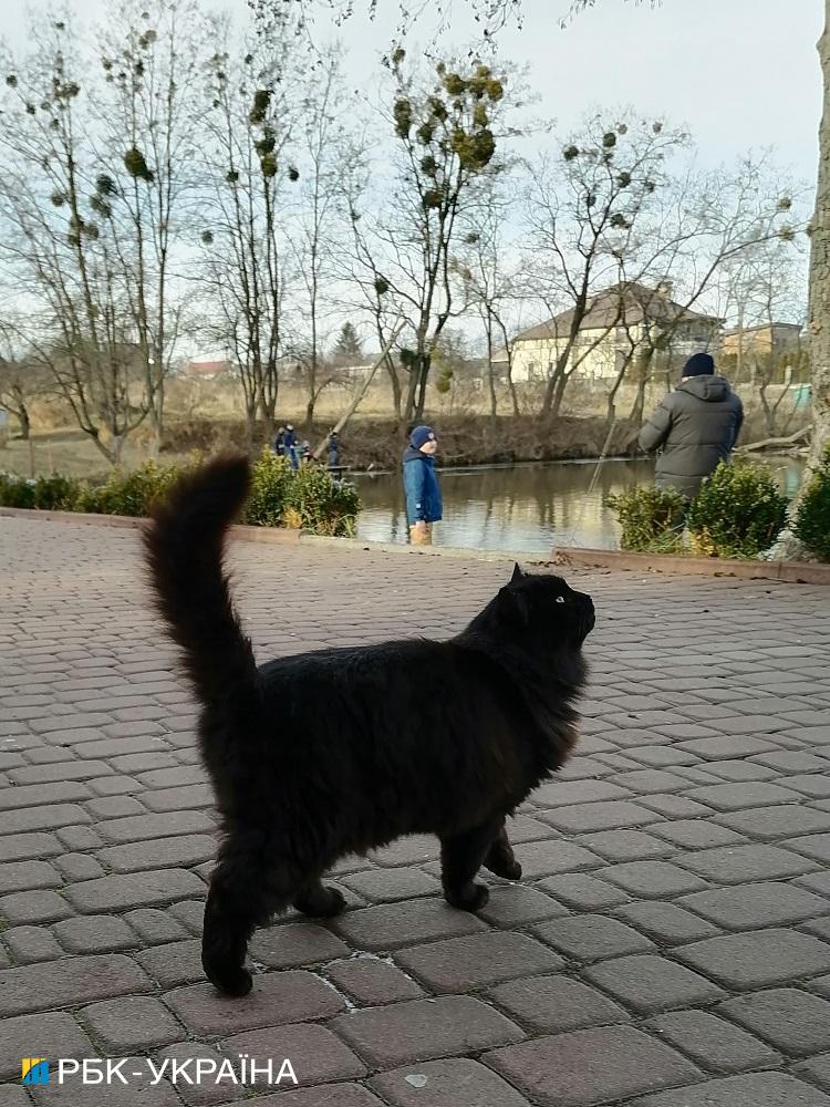 Долина страусів, льодяне озеро та локальні продукти. Ідеальний маршрут Київщиною для зимових вихідних